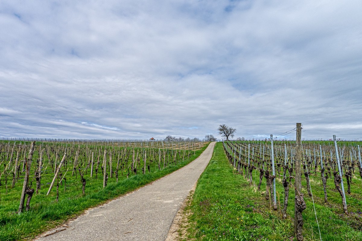 春晓 ：携“徕卡”认证镜头Lx5拜望徕卡本家，祝师友春安！！！