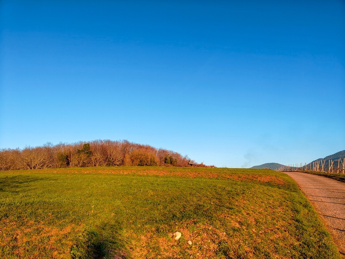 摄景“罗马山”（南德）