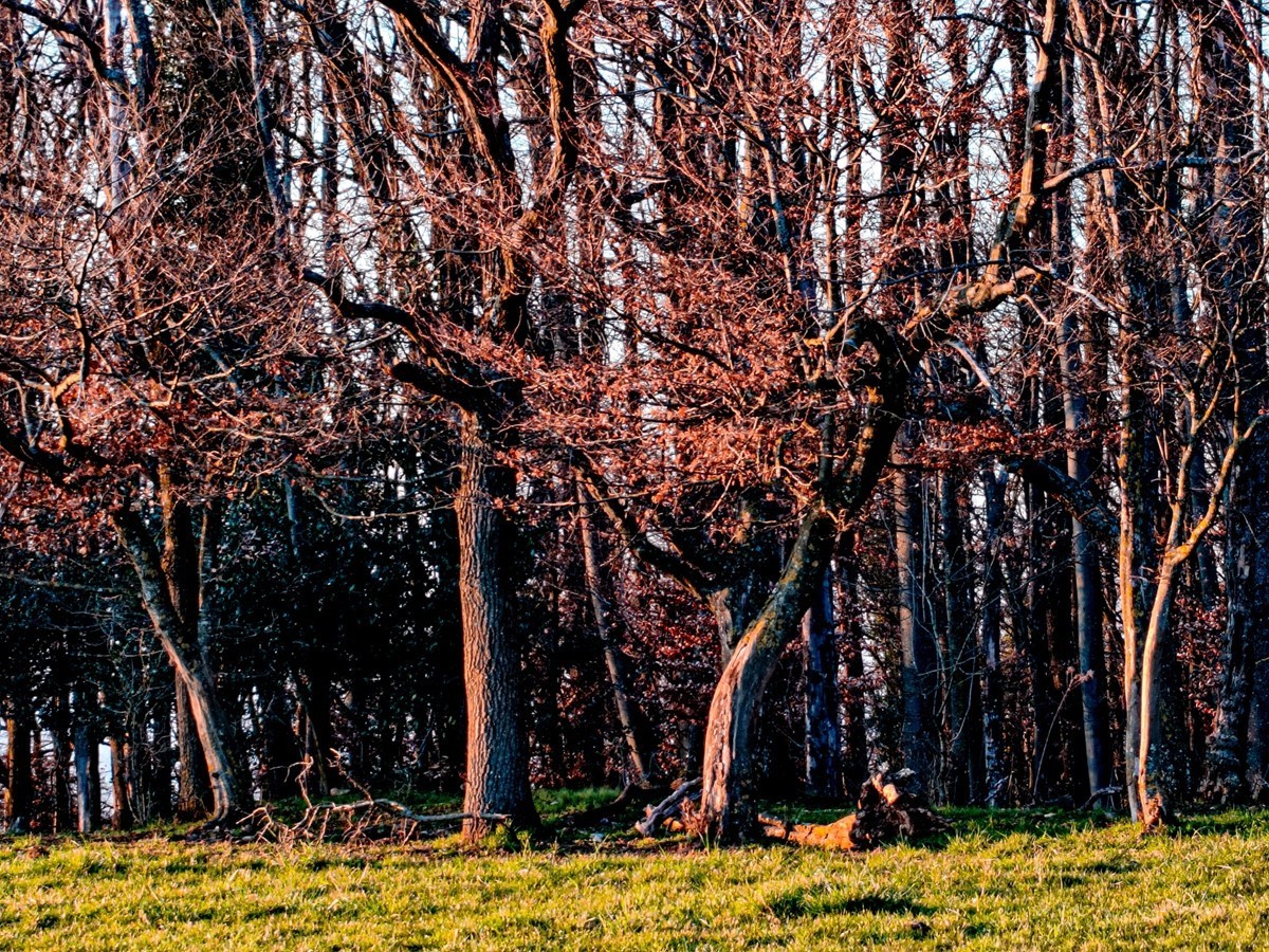 摄景“罗马山”（南德）