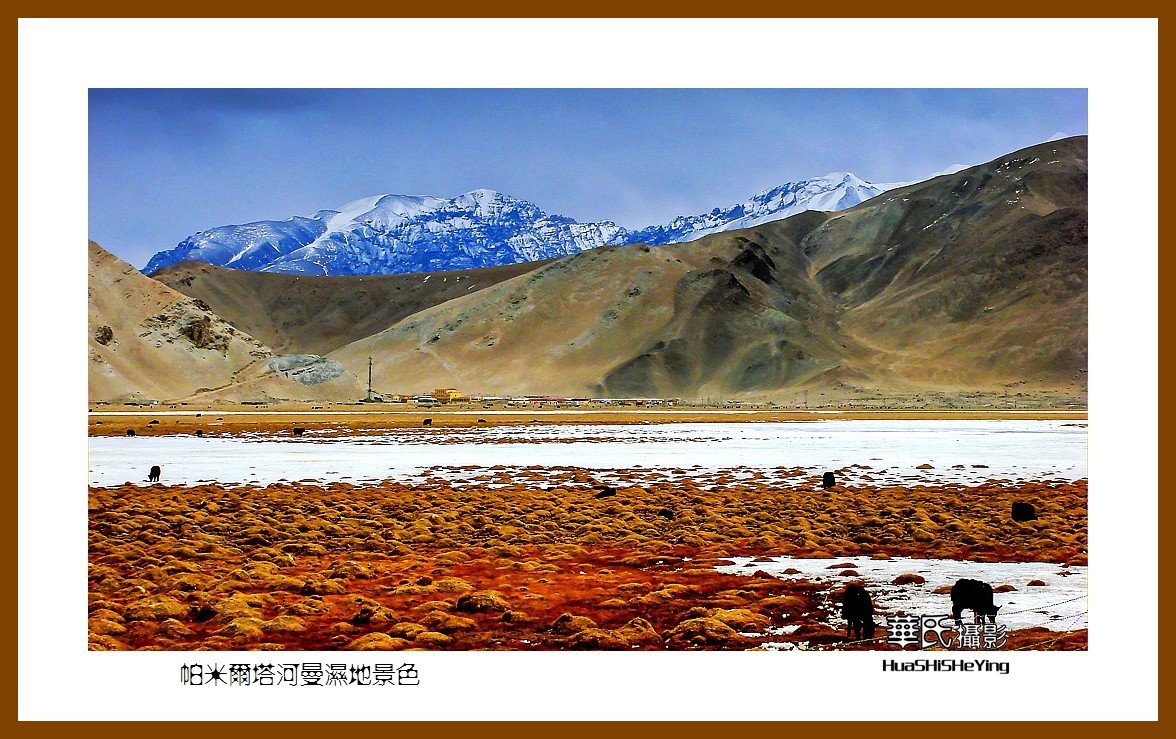 2023西行游记（新疆102）—帕米尔塔河曼湿地景色（喀什）