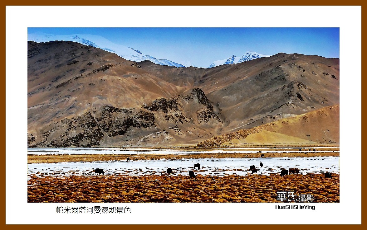 2023西行游记（新疆102）—帕米尔塔河曼湿地景色（喀什）