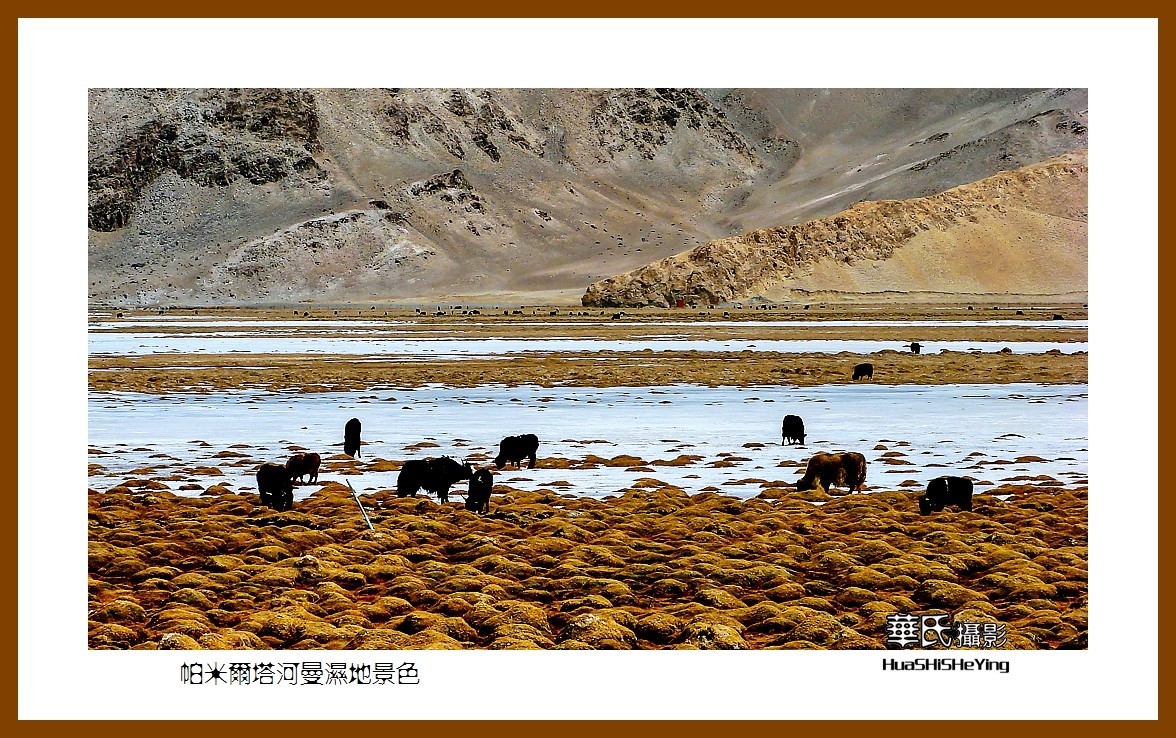 2023西行游记（新疆102）—帕米尔塔河曼湿地景色（喀什）