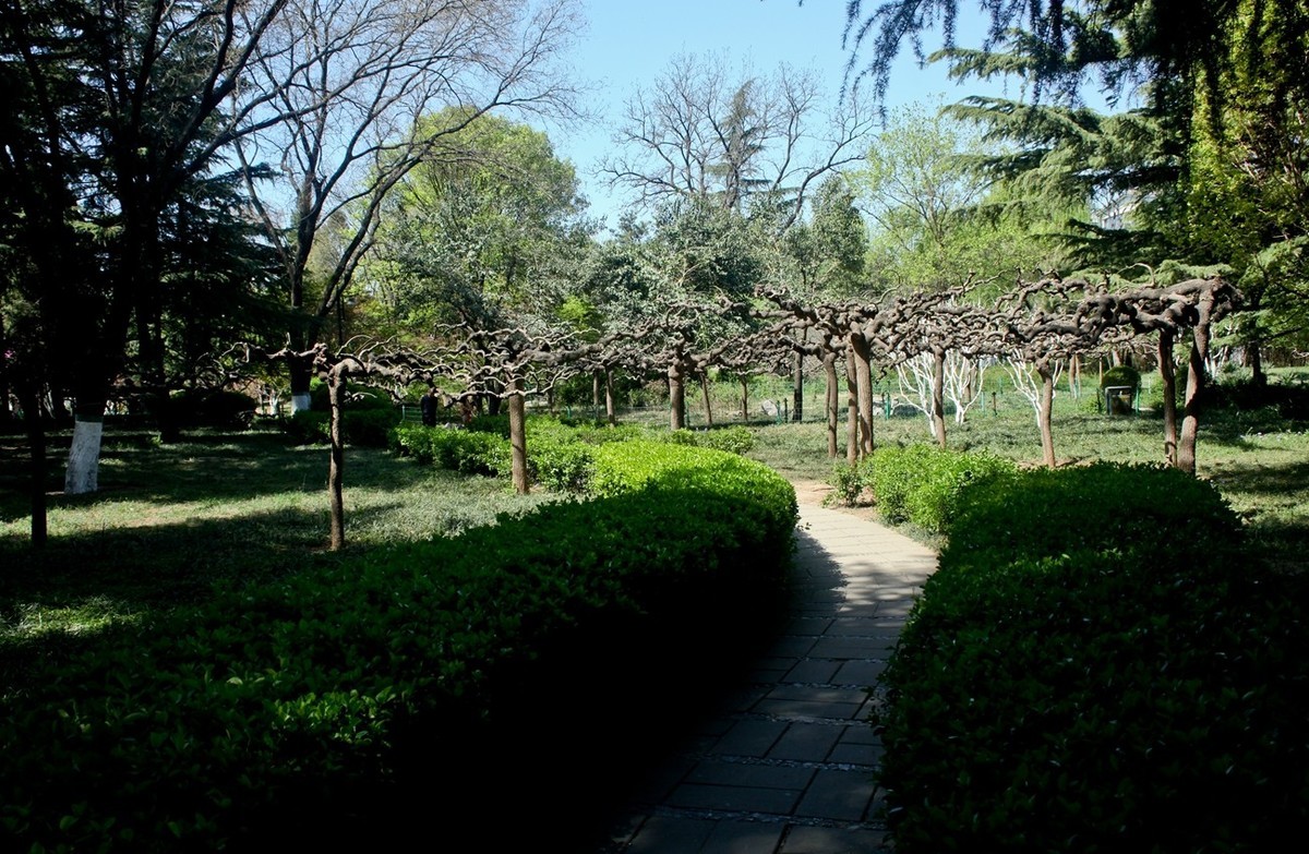 随拍——公园春色