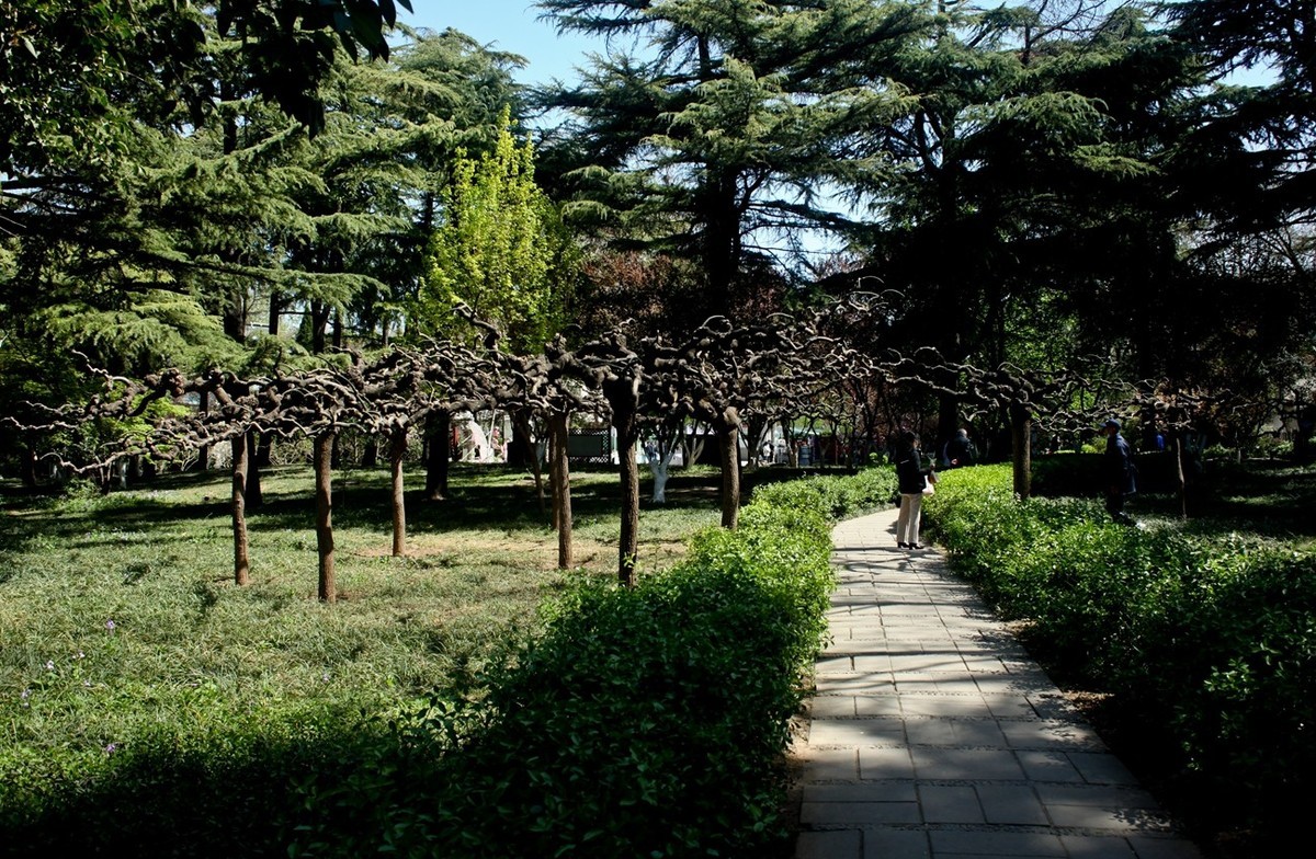 随拍——公园春色