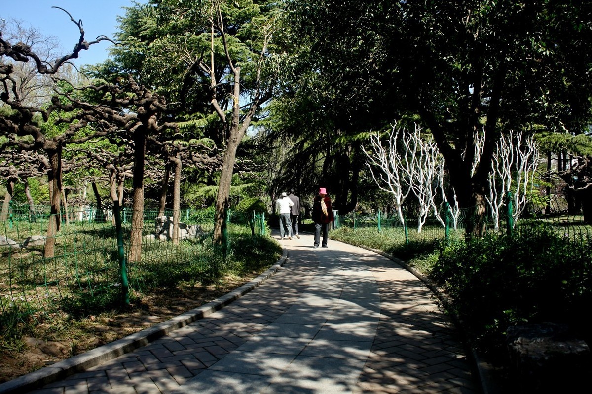 随拍——公园春色