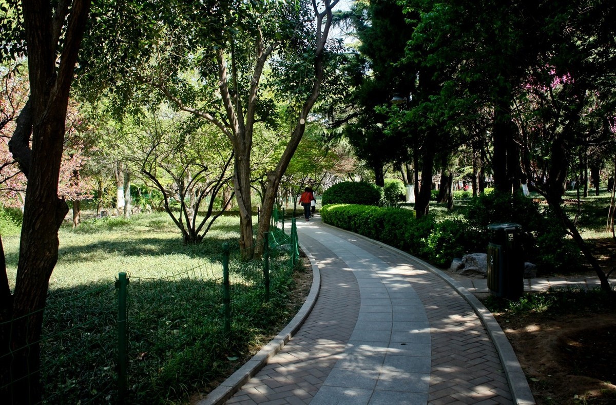 随拍——公园春色