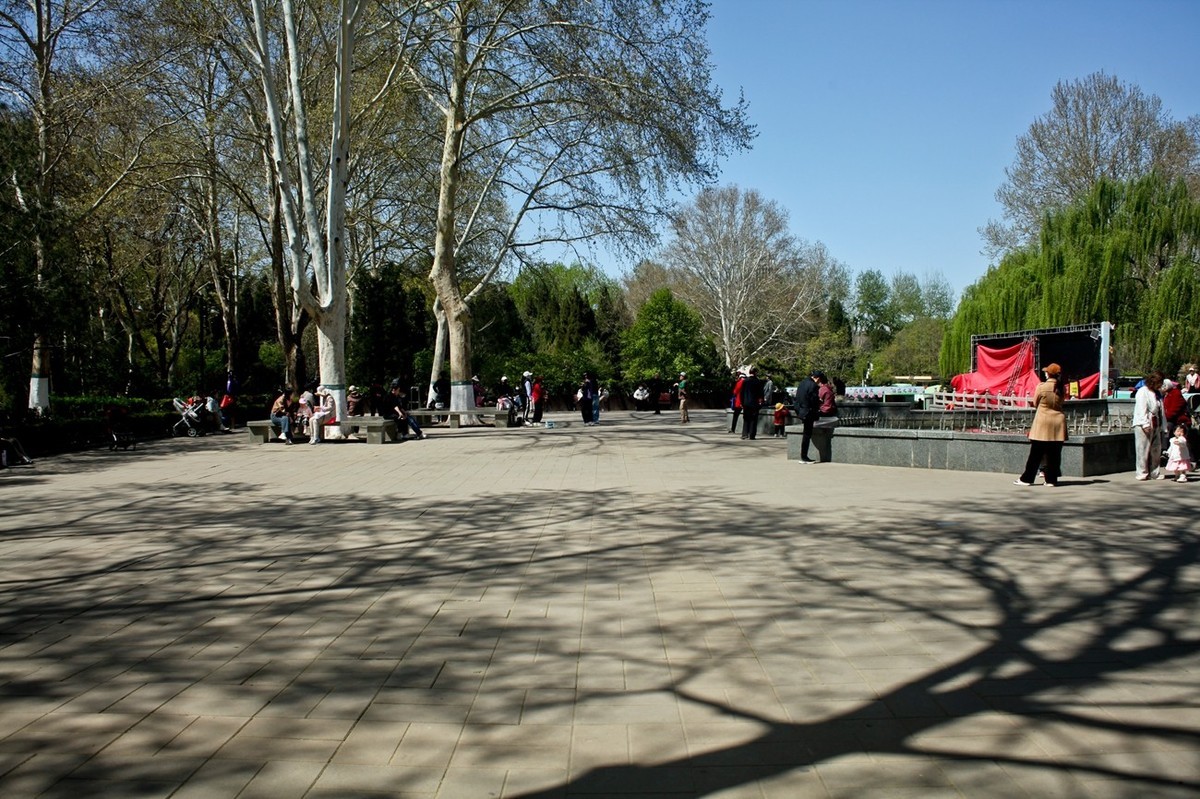 随拍——公园春色