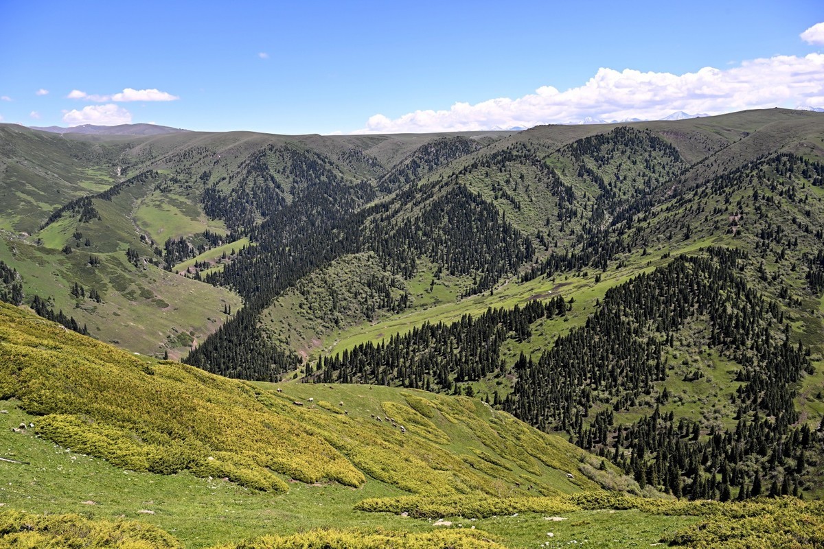 新疆游/独库公路（47）