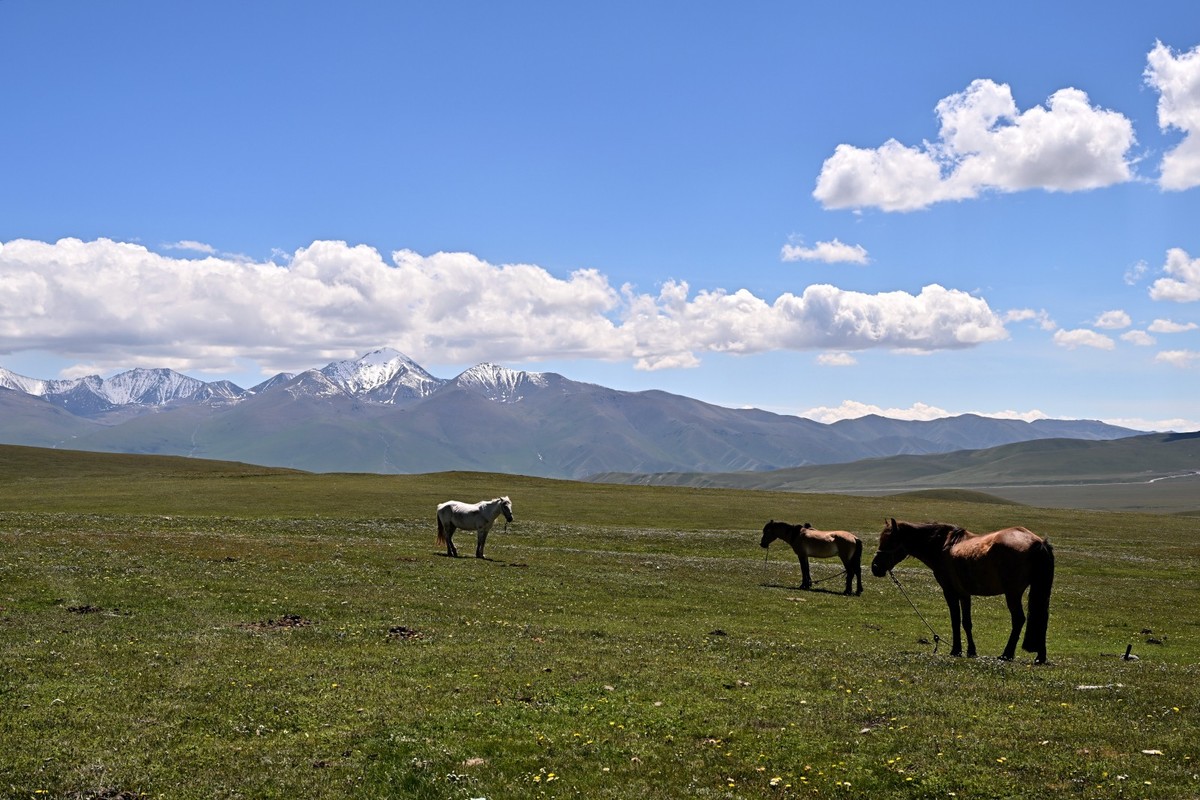 新疆游/独库公路（47）
