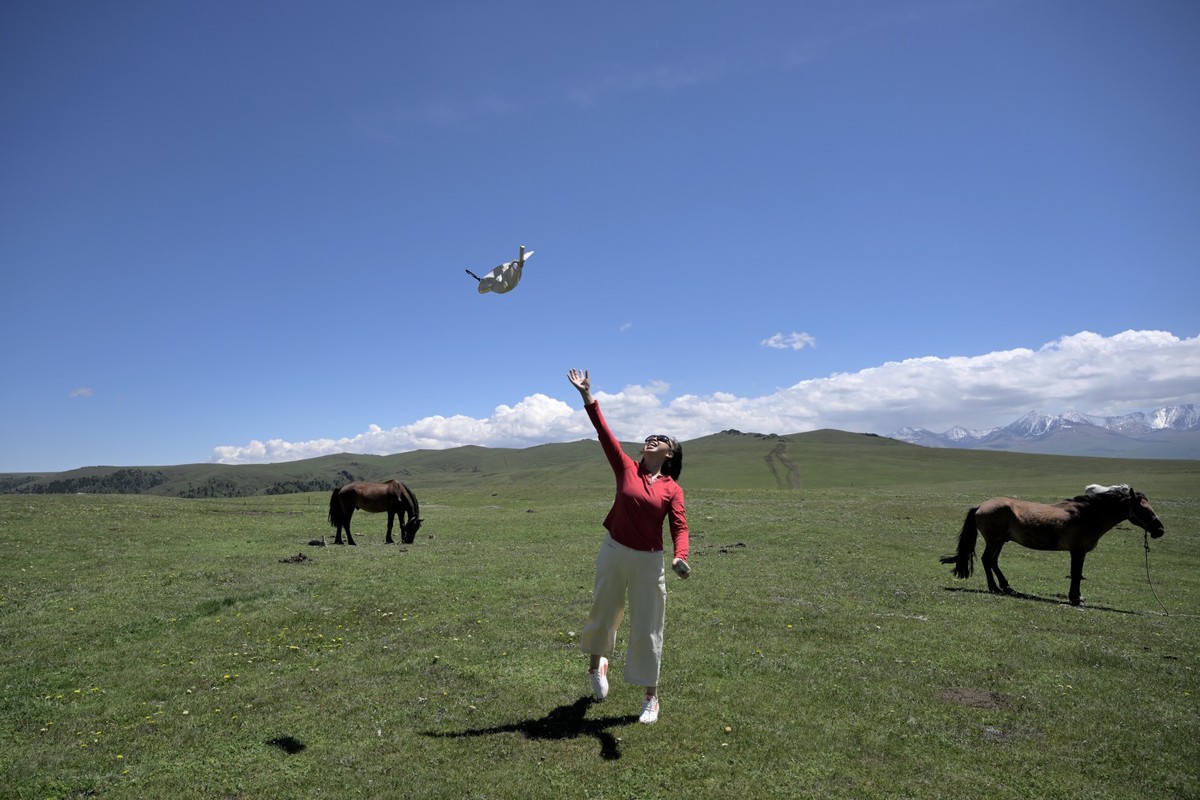 新疆游/独库公路（47）