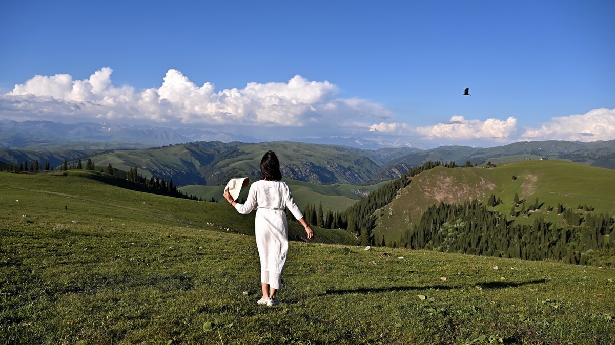 新疆游/独库公路（47）