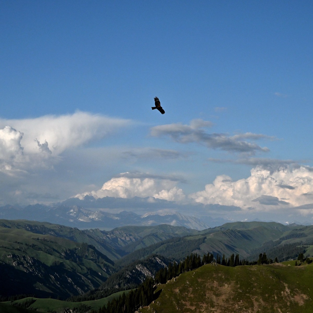 新疆游/独库公路（47）