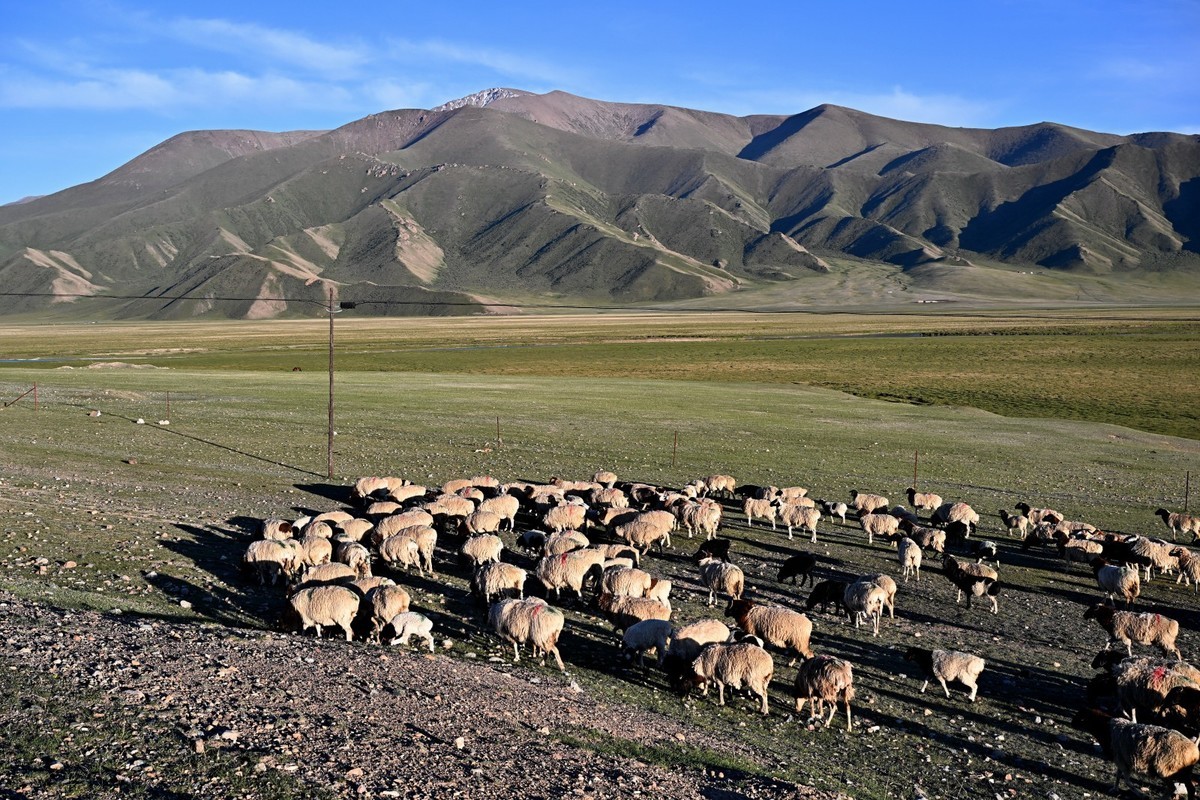 新疆游/独库公路（47）