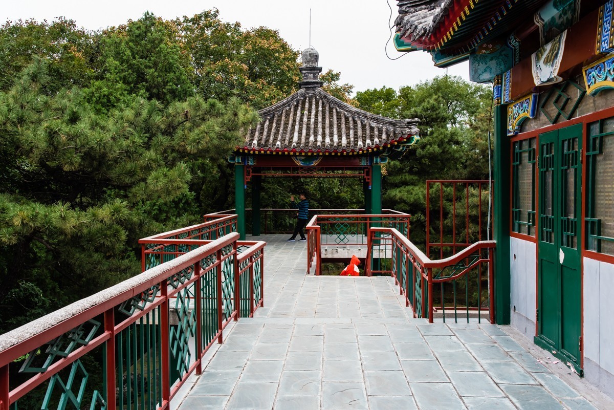 鏡頭裡第1166號陰雨天遊拍北京植物園七