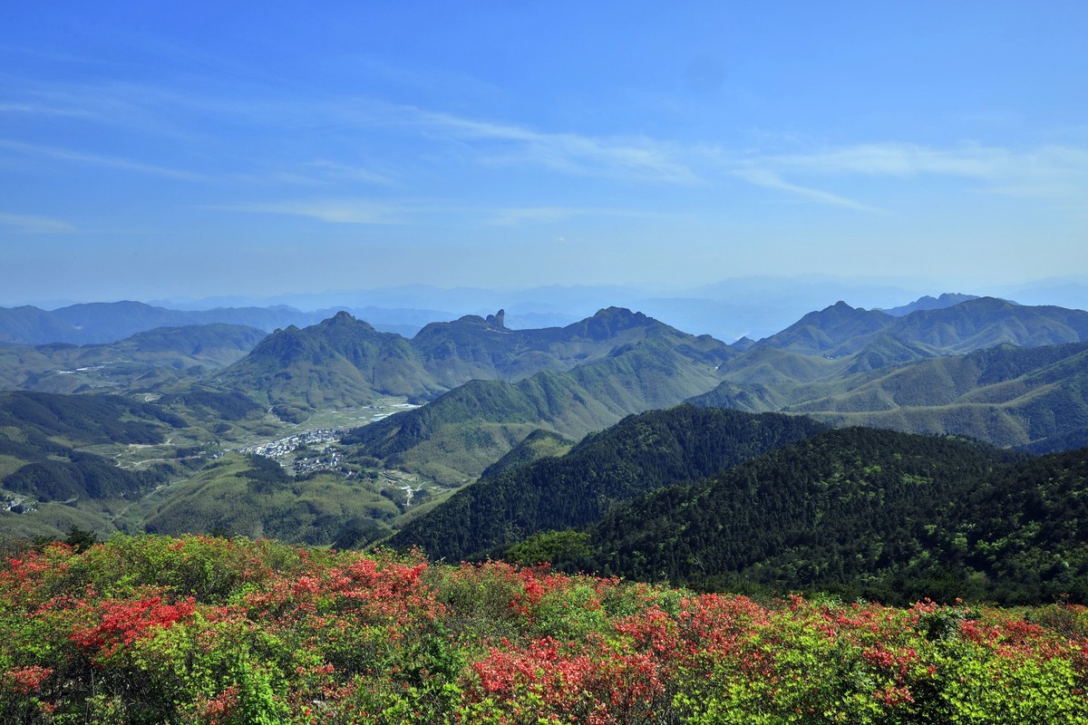 遂昌高坪杜鹃花海（2022年五一期间拍摄）-中关村在线摄影论坛