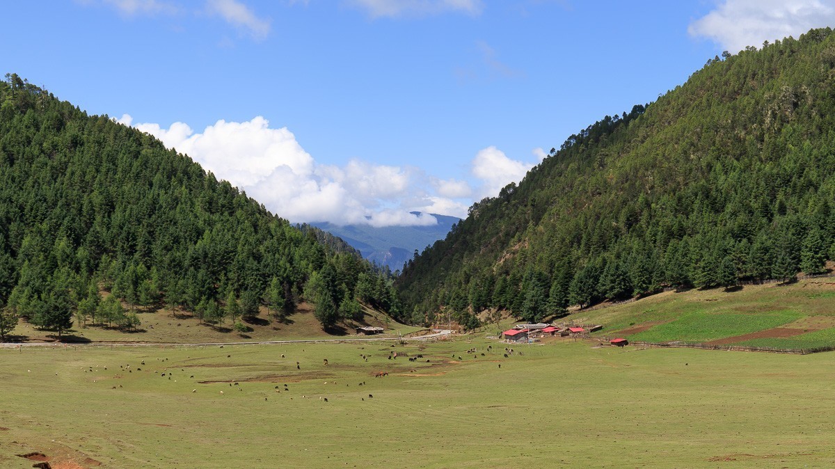 2023.6.25游木里藏族自治县丁冬海子