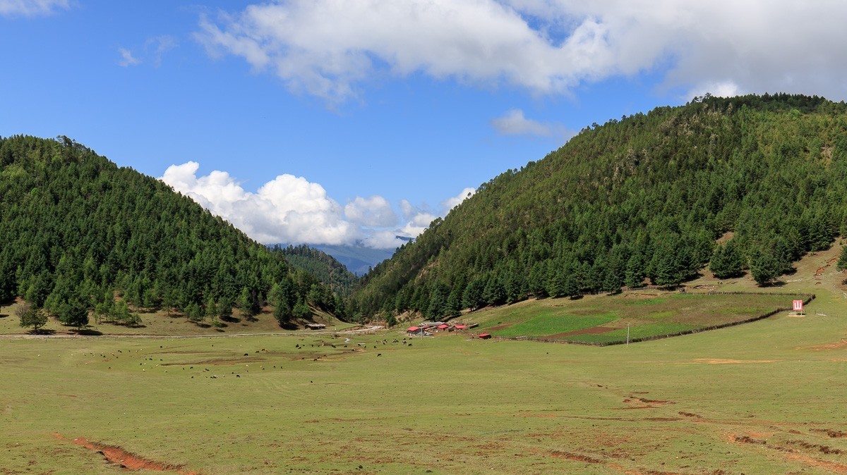 2023.6.25游木里藏族自治县丁冬海子