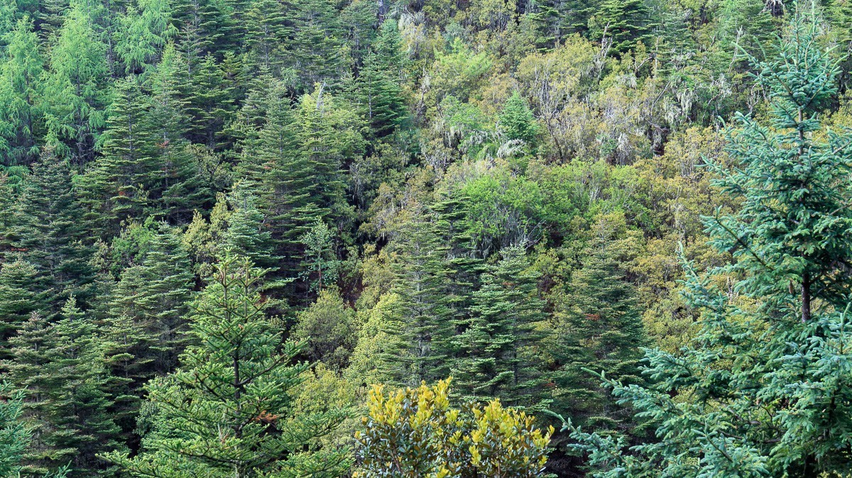 2023.6.25游木里藏族自治县丁冬海子