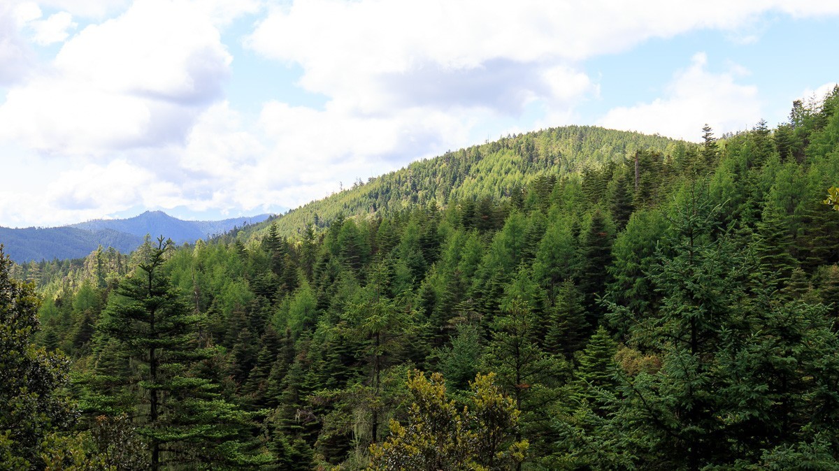 2023.6.25游木里藏族自治县丁冬海子
