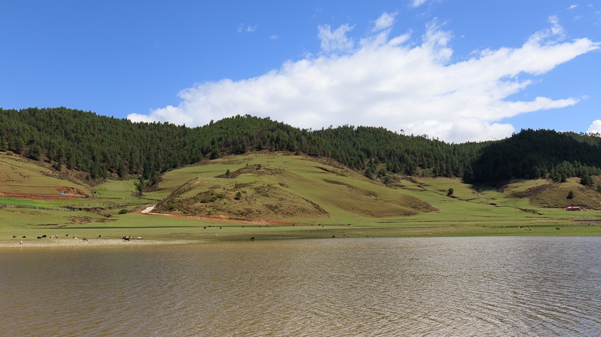 2023.6.25游木里藏族自治县丁冬海子