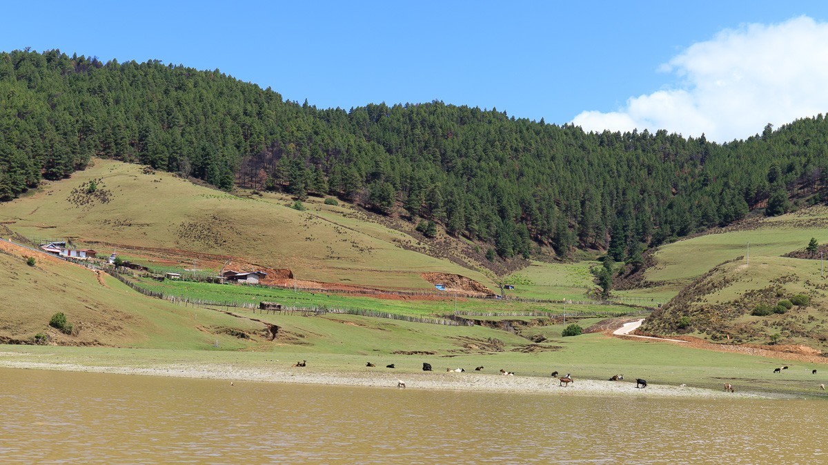 2023.6.25游木里藏族自治县丁冬海子