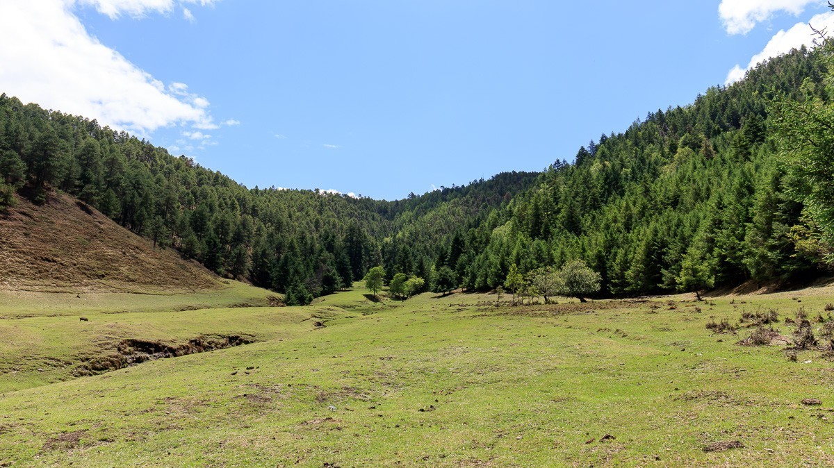 2023.6.25游木里藏族自治县丁冬海子