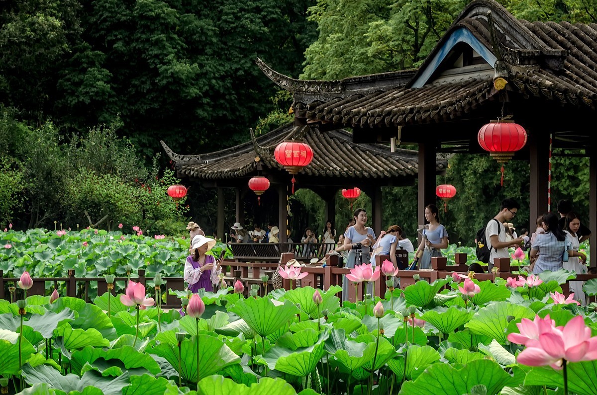 渔家傲·七月芙蓉生翠水（夏荷）
