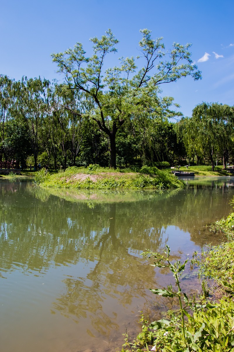 【镜头里】第1572号：北京北坞公园的秀美风光（五）