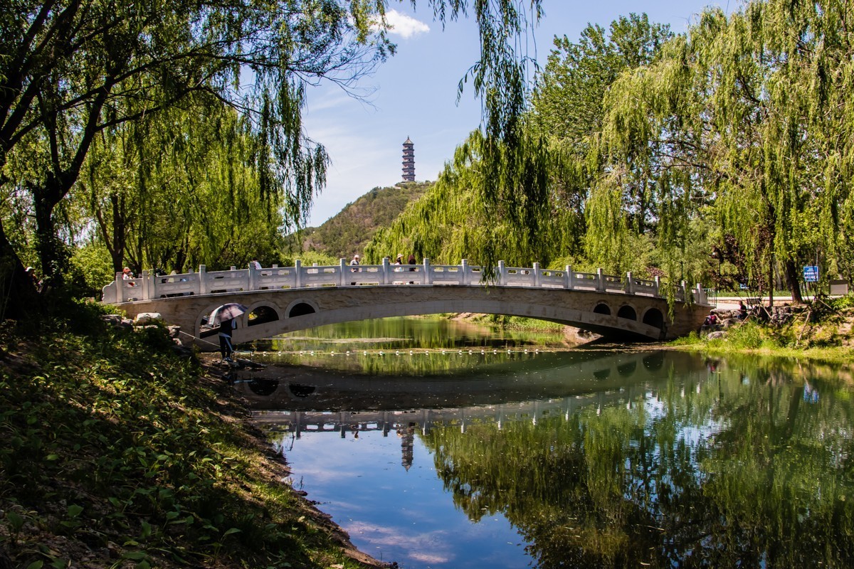 【镜头里】第1572号：北京北坞公园的秀美风光（五）