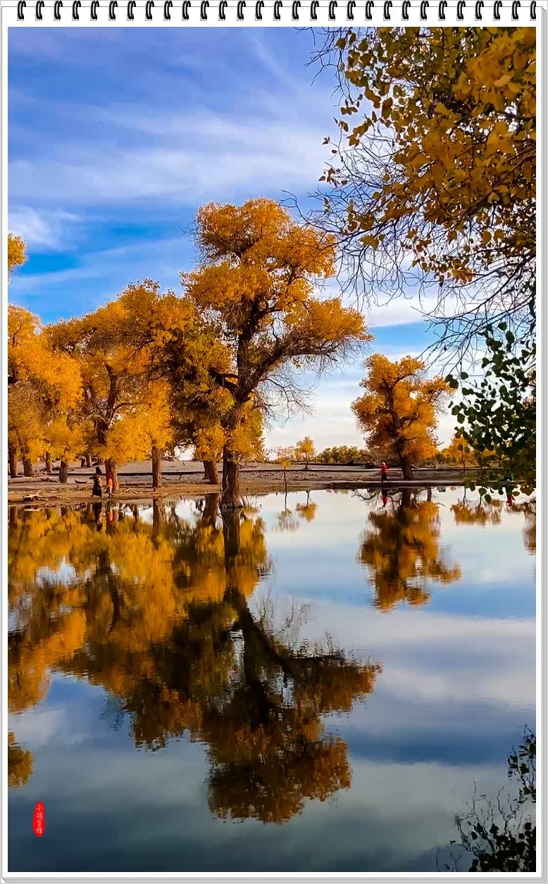 2023年-胡杨风光纪实抓拍-968