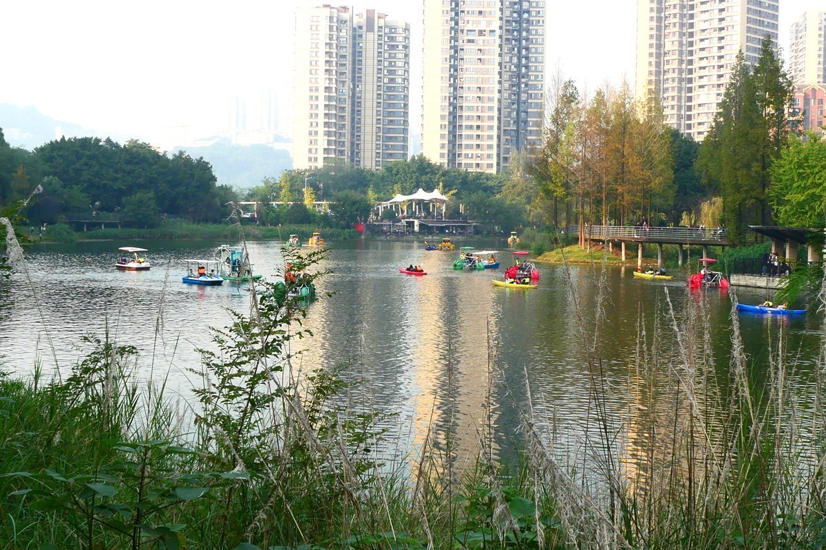 初冬融侨公园六