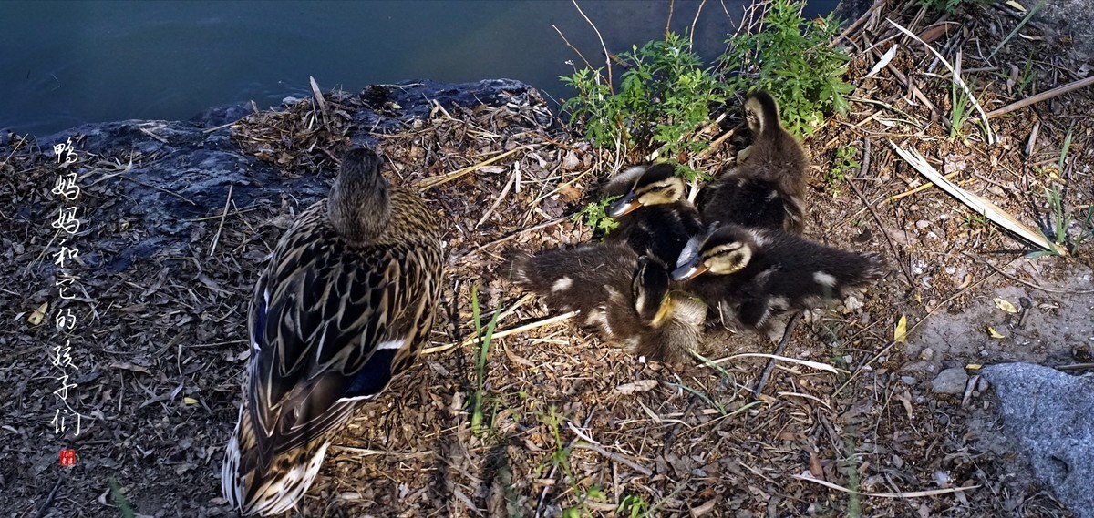 2023年终单幅作品