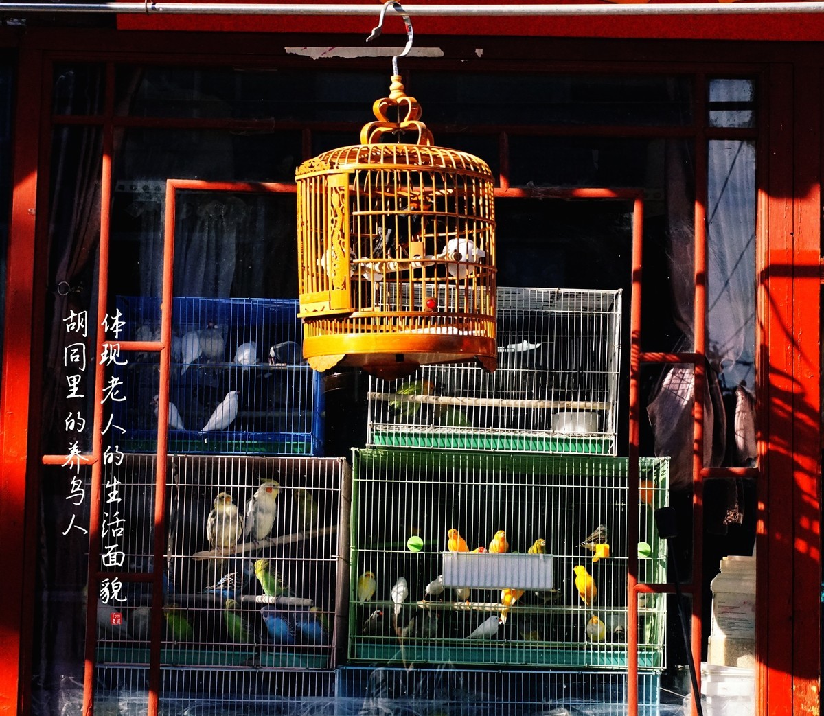 2023年终单幅作品