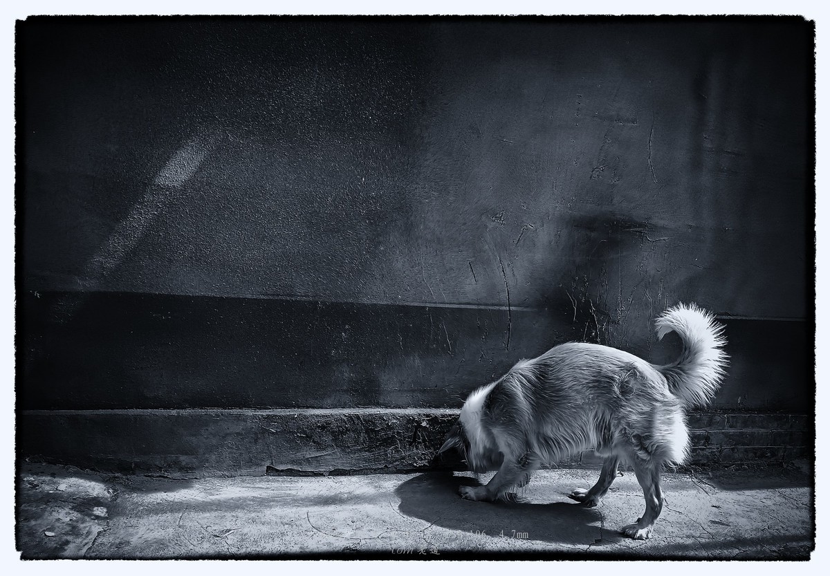 2023年终单幅作品