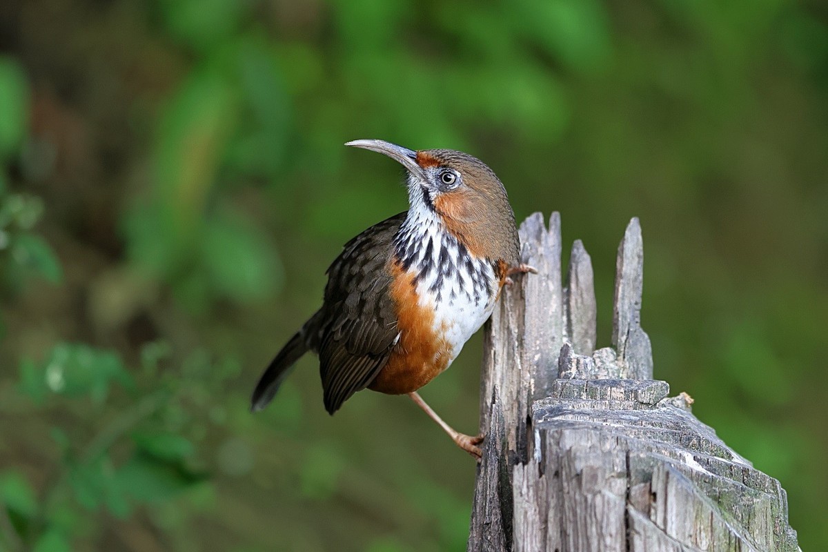 收获满满百花岭