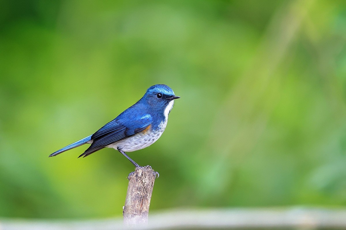 收获满满百花岭