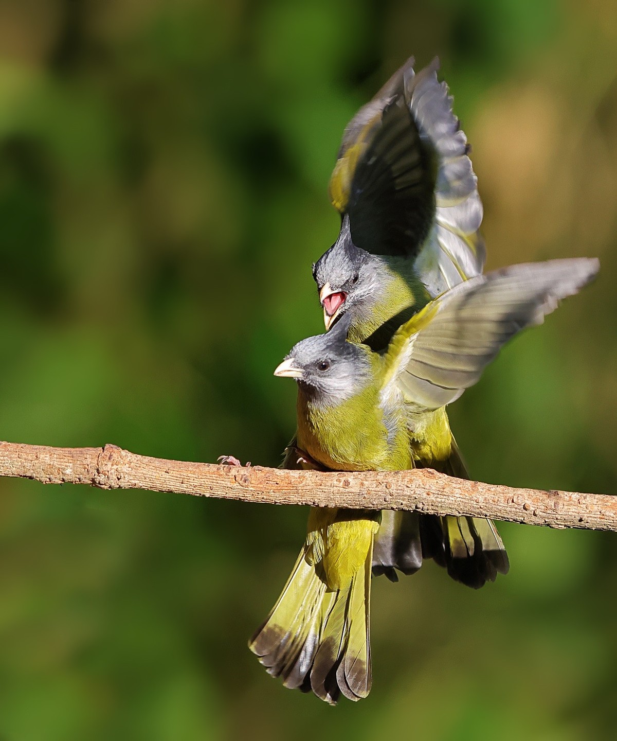 收获满满百花岭