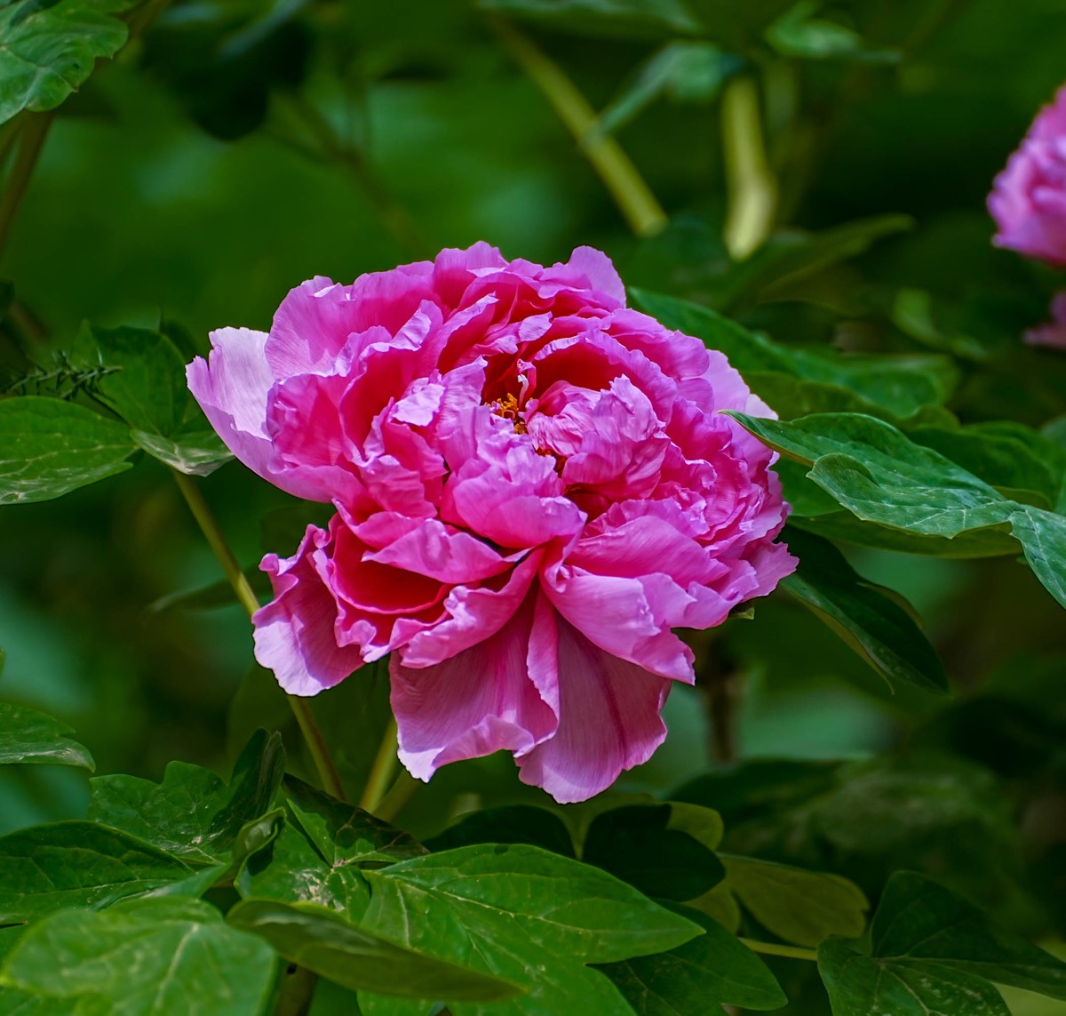 ChMkLGX5AfWIFybtAARNiaoIBB0AAb7bQDfOtQABE2h941.jpg