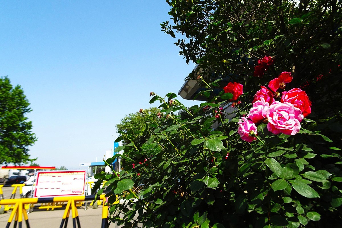 看三门峡汽车服务区