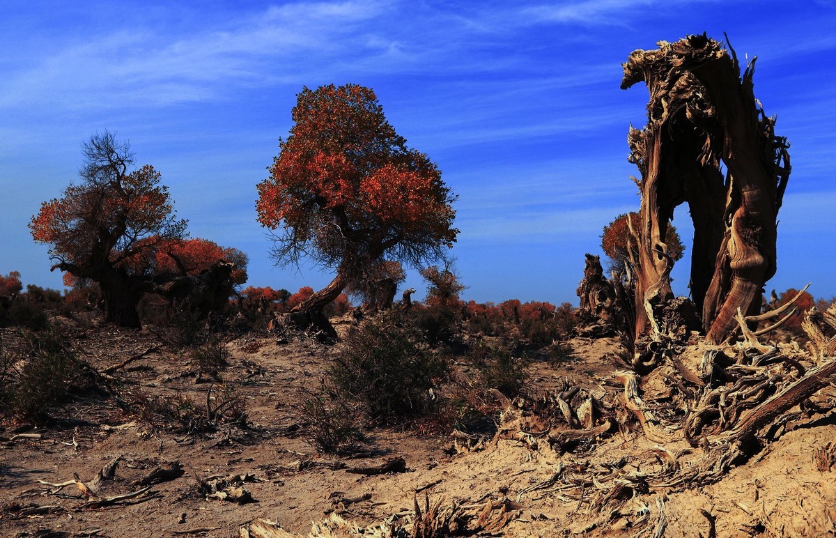 我只是把出去看到的随手记录下来（十七）