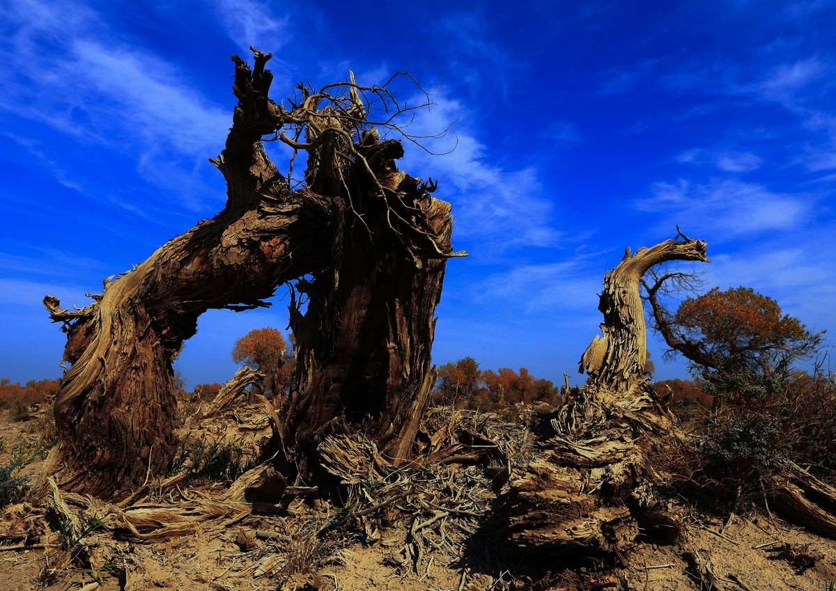 我只是把出去看到的随手记录下来（十七）