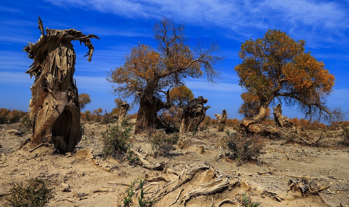 我只是把出去看到的随手记录下来（十七）