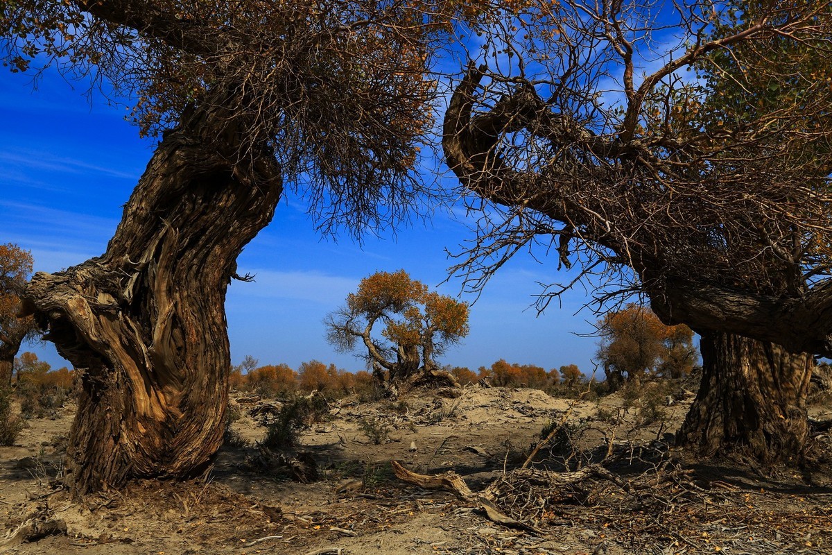 我只是把出去看到的随手记录下来（十七）