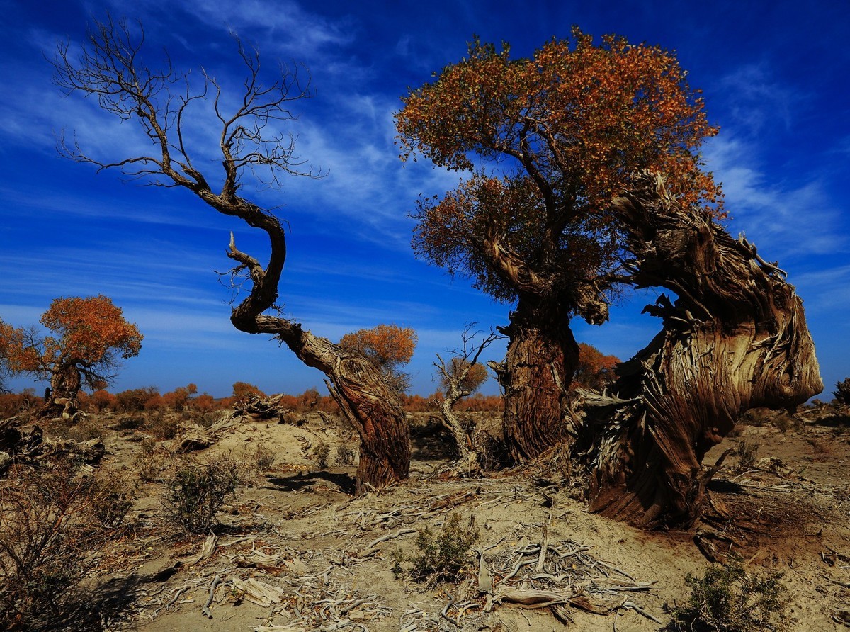 我只是把出去看到的随手记录下来（十七）