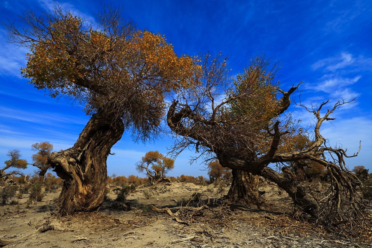 我只是把出去看到的随手记录下来（十七）