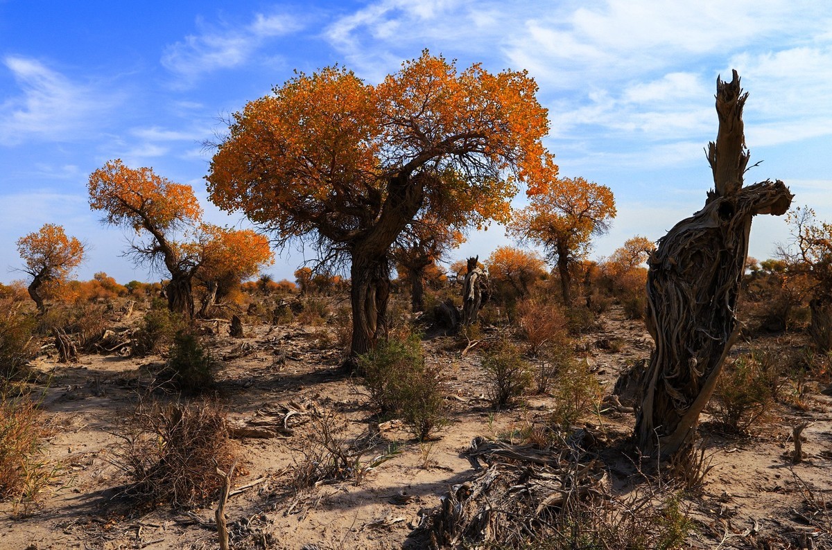 我只是把出去看到的随手记录下来（十七）