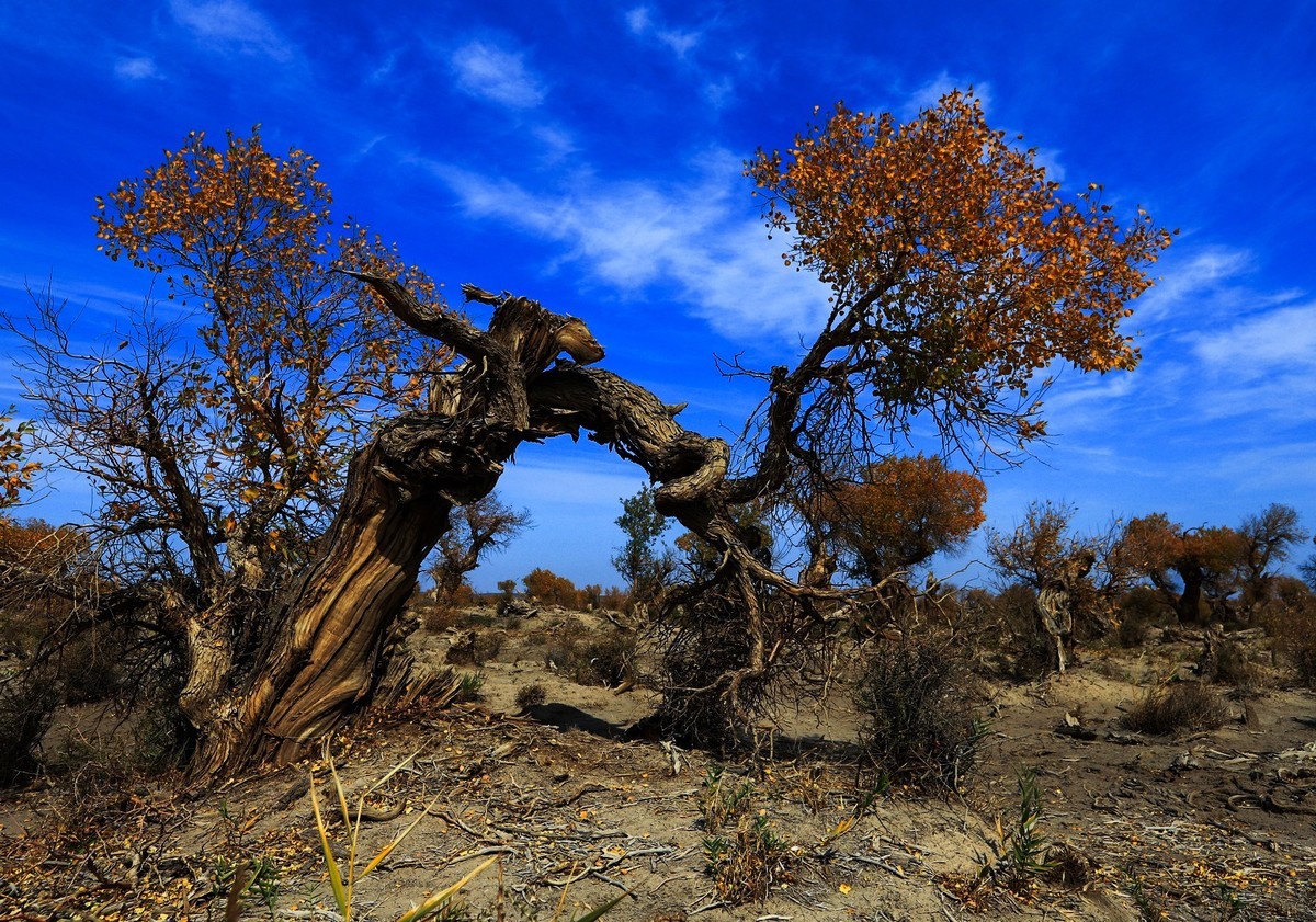我只是把出去看到的随手记录下来（十七）