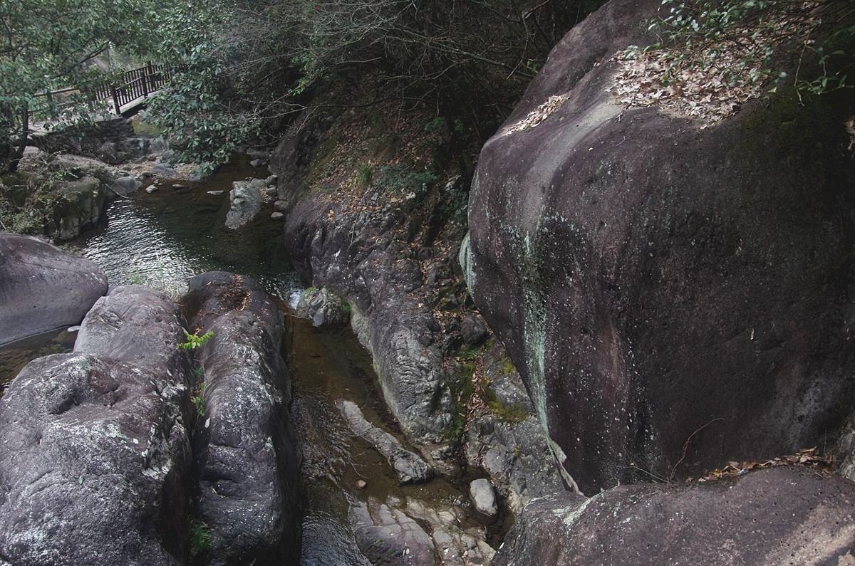 浙西梅树底景区游记-4