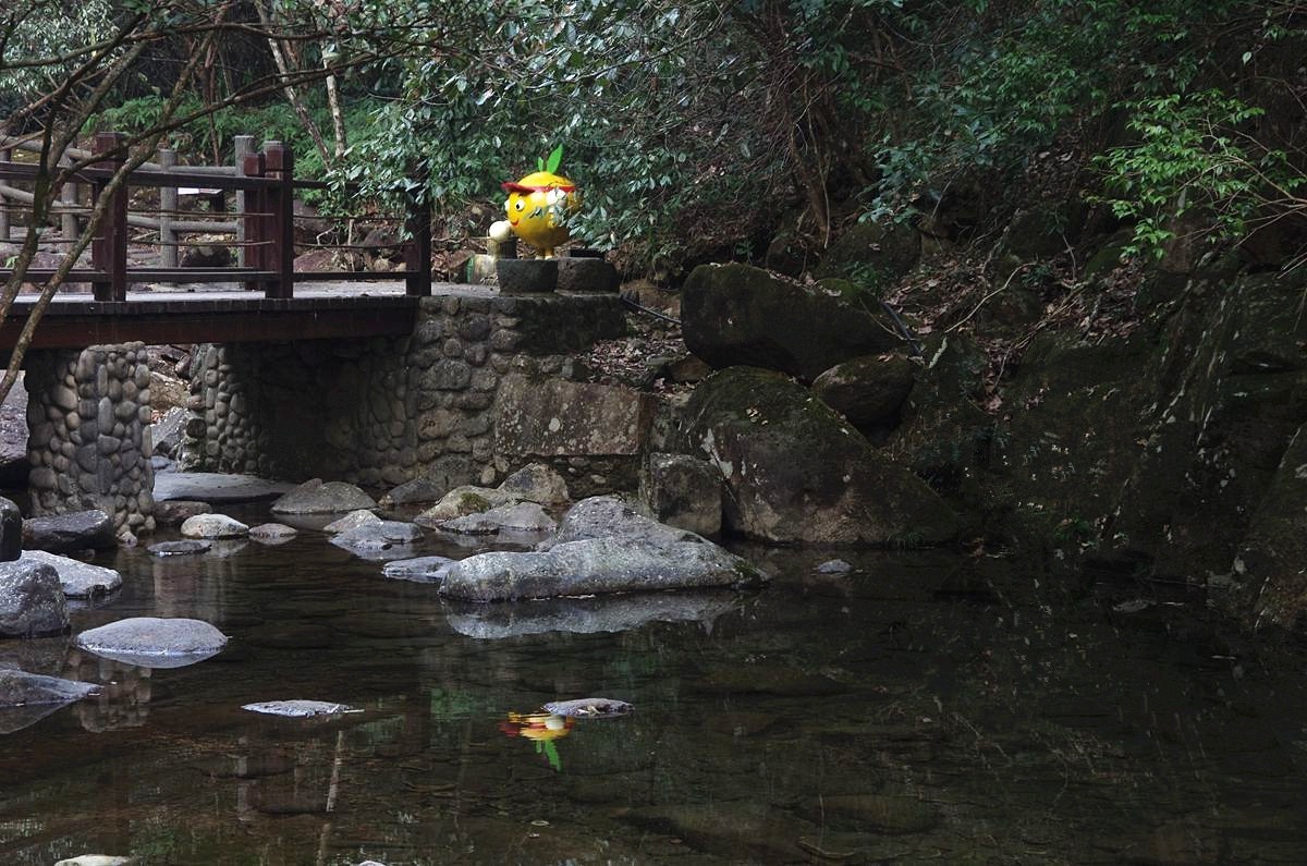 浙西梅树底景区游记-4