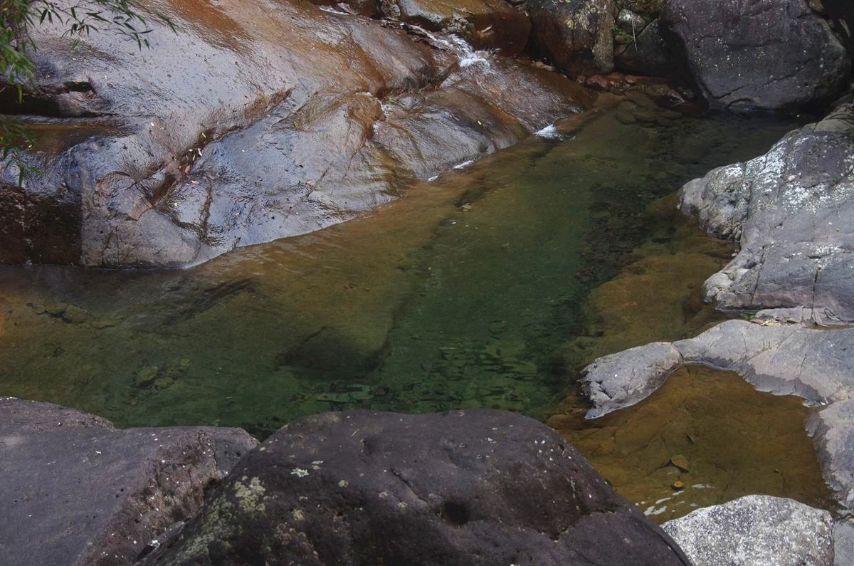 浙西梅树底景区游记-4